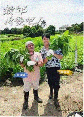 熊出没神级反转